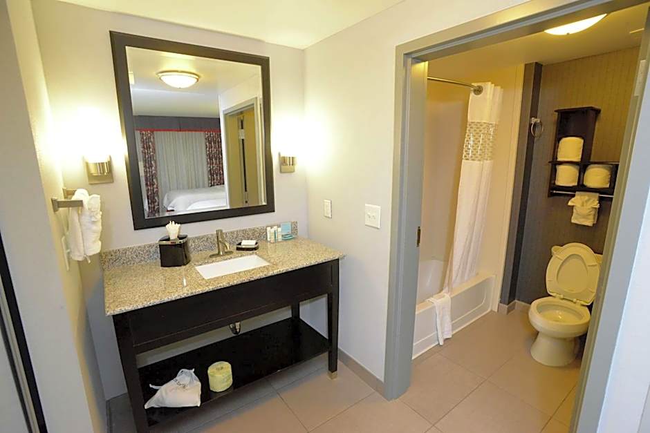 Hampton Inn By Hilton & Suites Albany