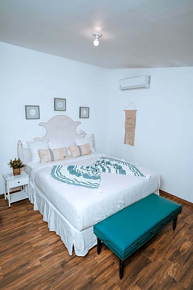 Oasis 444