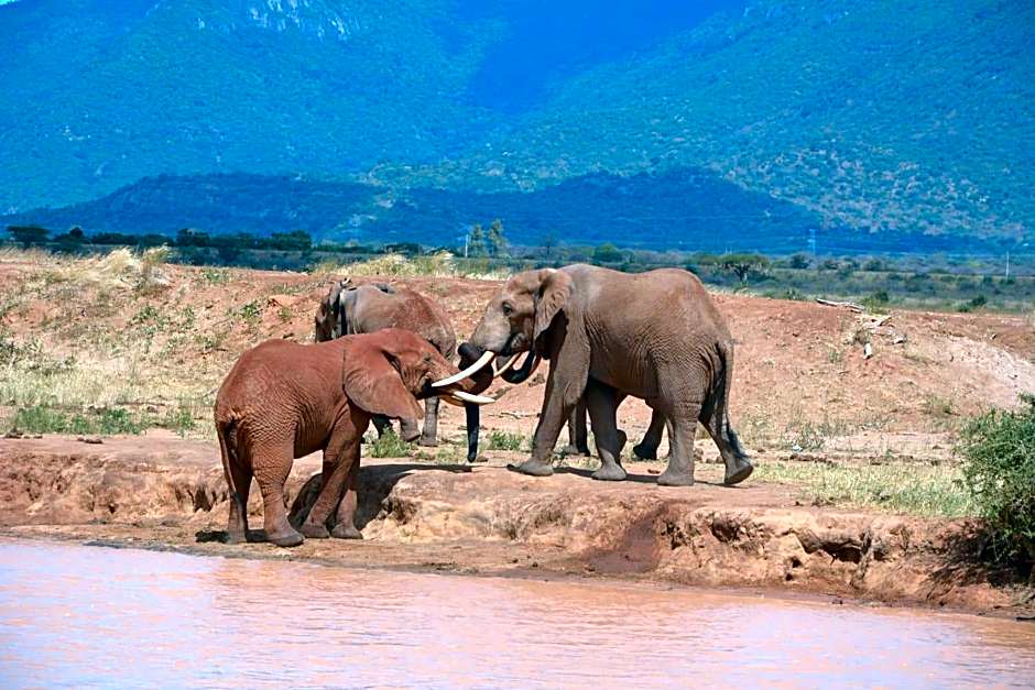 Tausa Tsavo Eco Lodge