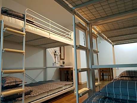 1 Person in 6-Bed Dormitory - Mixed