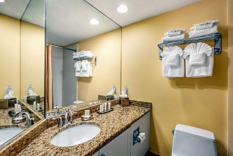 Deluxe Double Studio with Two Double Beds