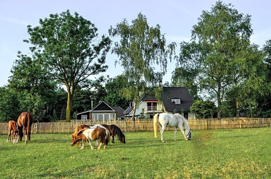 Bed & Breakfast de Zandhoef