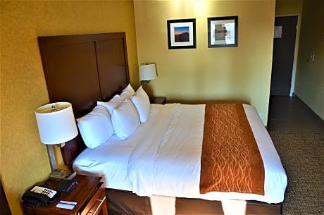 1 King Bed Nonsmoking