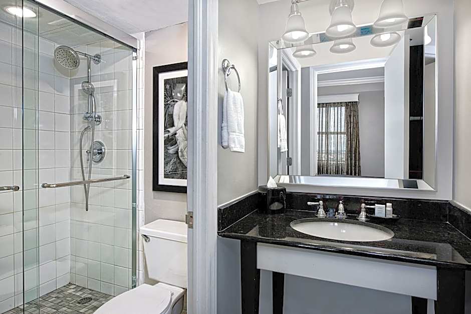 Hotel Indigo Dallas Downtown By IHG