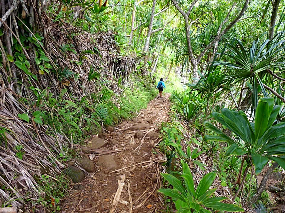 Kiahuna Plantation 96, Poipu Beach, Club Membership, Part Ocean View, Kids Toys