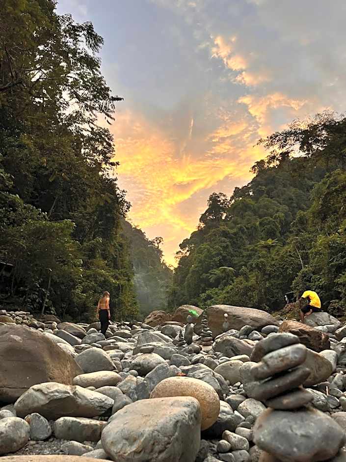 Asim Paris Guesthouse & jungle trekking
