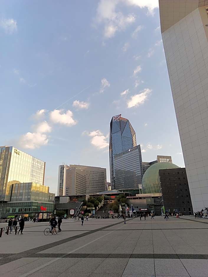 La Défense Dauphins