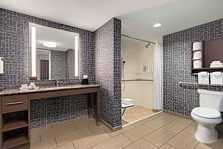 1 King Accessible Roll in Shower Studio Nosmok