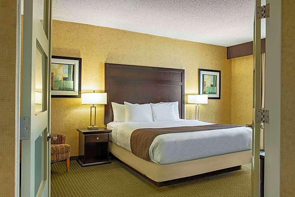Photo 1 of 9 of Deluxe 1 King Bed with Sofabed Suite