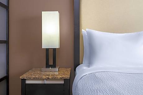 King Room with Roll-In Shower and Sofa Bed - Ground Floor/Pet Friendly/Non-Smoking