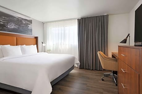 1 King Bed Family Room Non-Smoking
