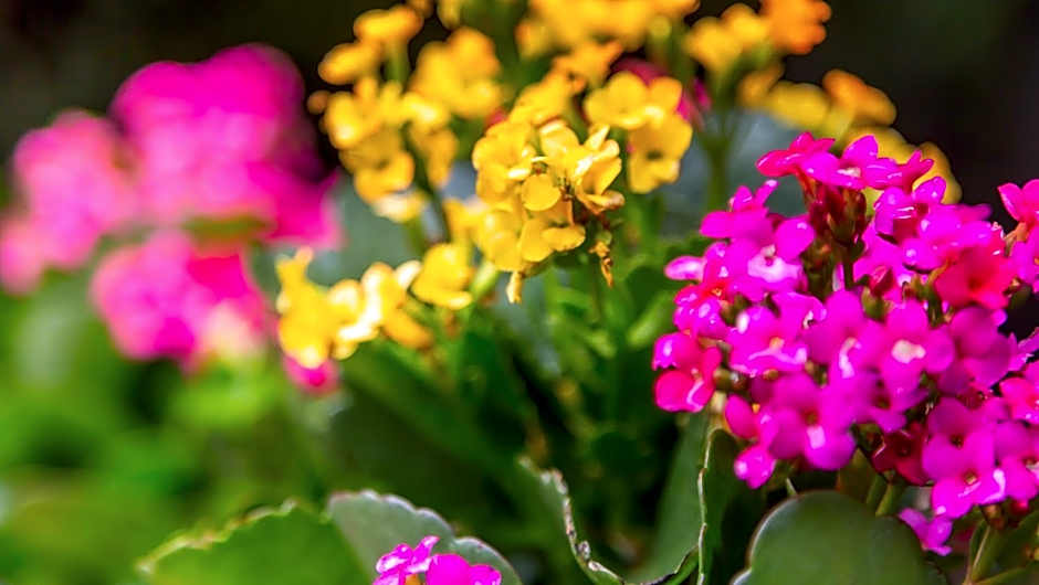 Pousada Container Eco Manguinhos