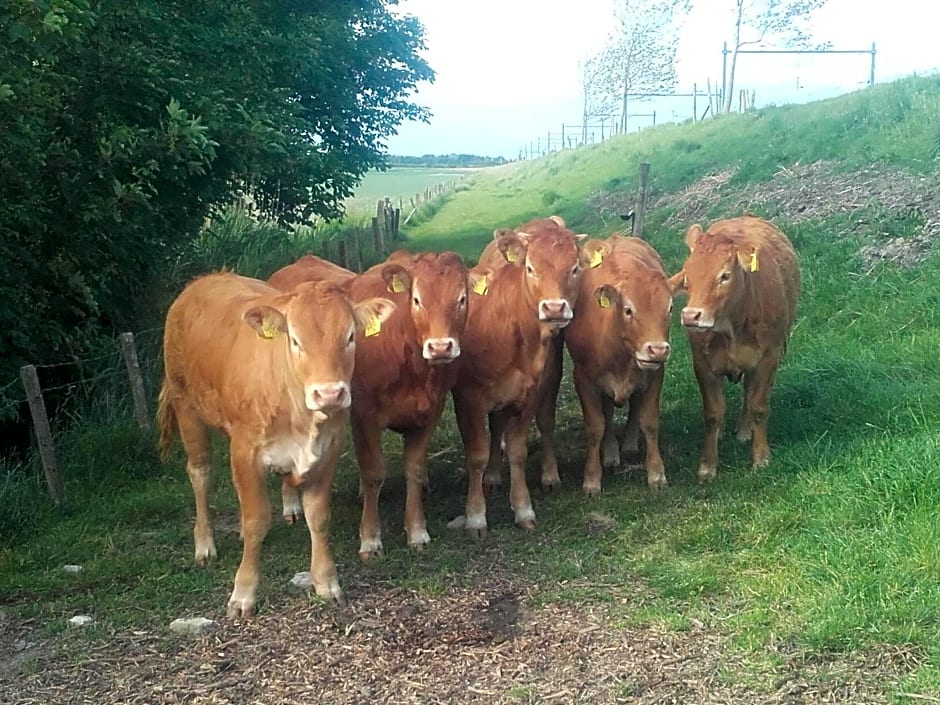 B & B 'Droom in de polder de Suite met prive sauna