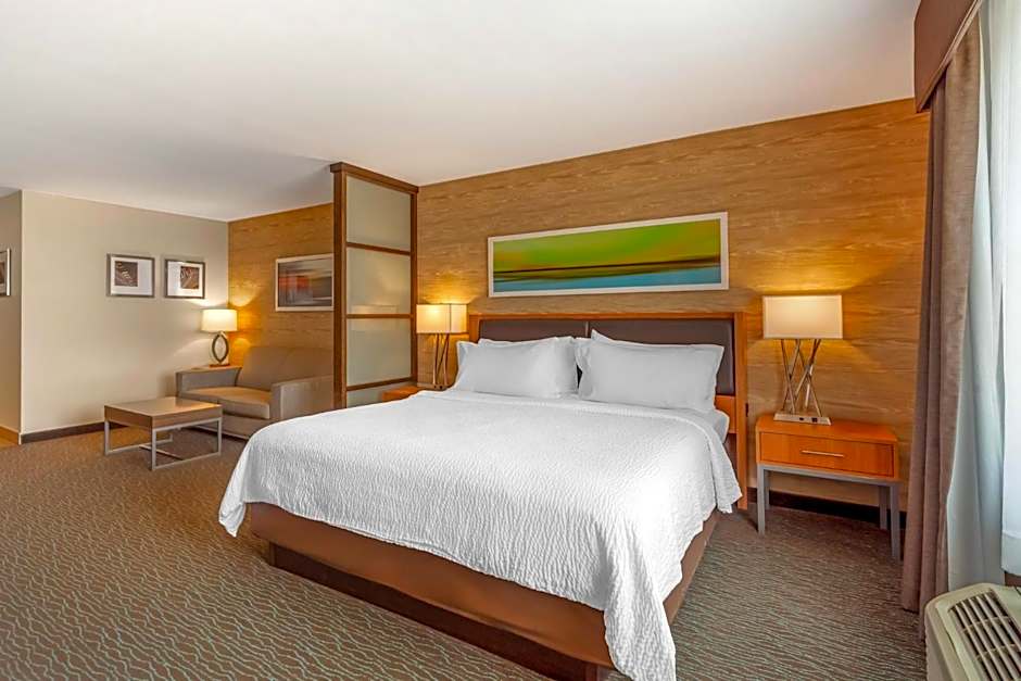 Holiday Inn Hotel & Suites Edmonton Airport Conference Centre By IHG