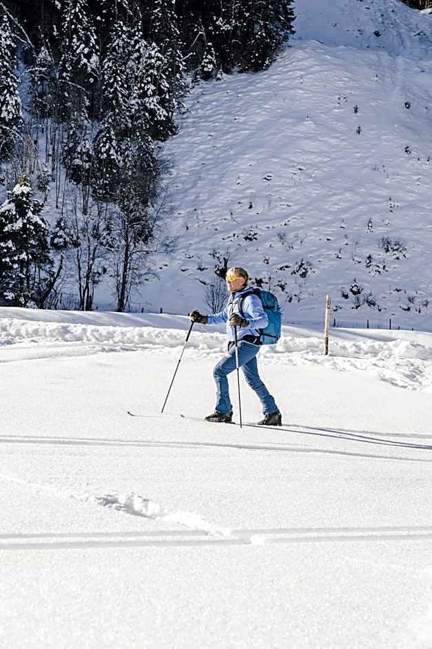 Traumhotel Alpina Superior