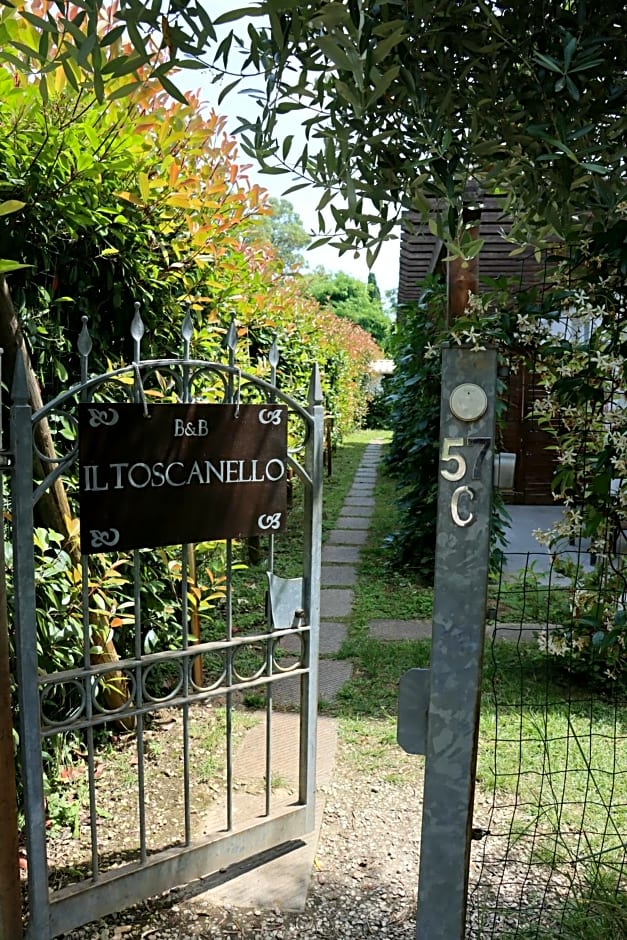 Il Toscanello