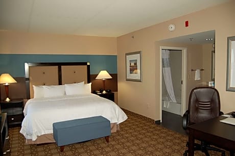 King Studio Suite with Sofa Bed - Non-Smoking