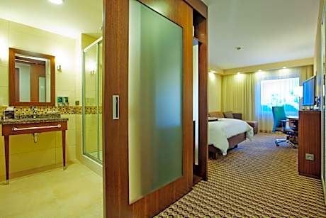 Queen Accessible Room Non Smoking