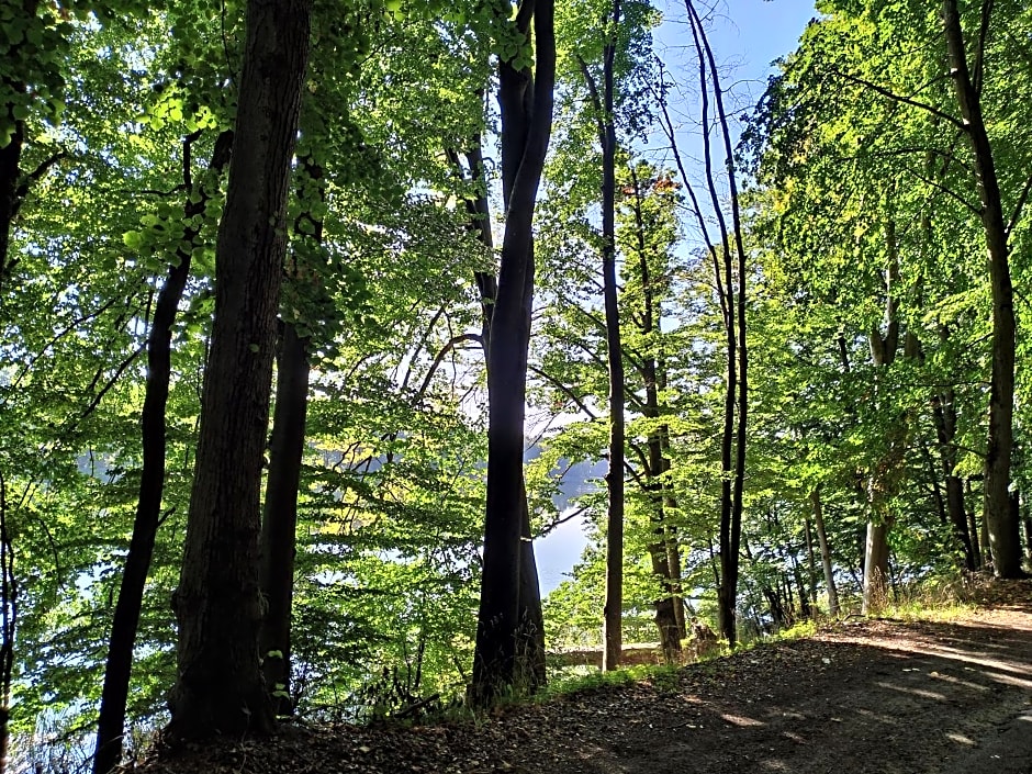 Bed & Breakfast - Warniłęg