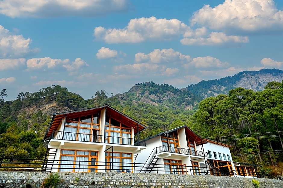 Silver fern by the Hillside