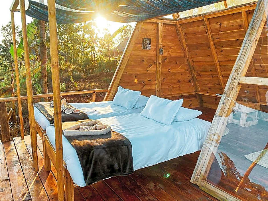 Foresight Eco Lodge & Safari