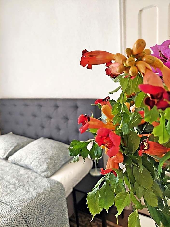 N1 Casa de Madrid - greenpeace line