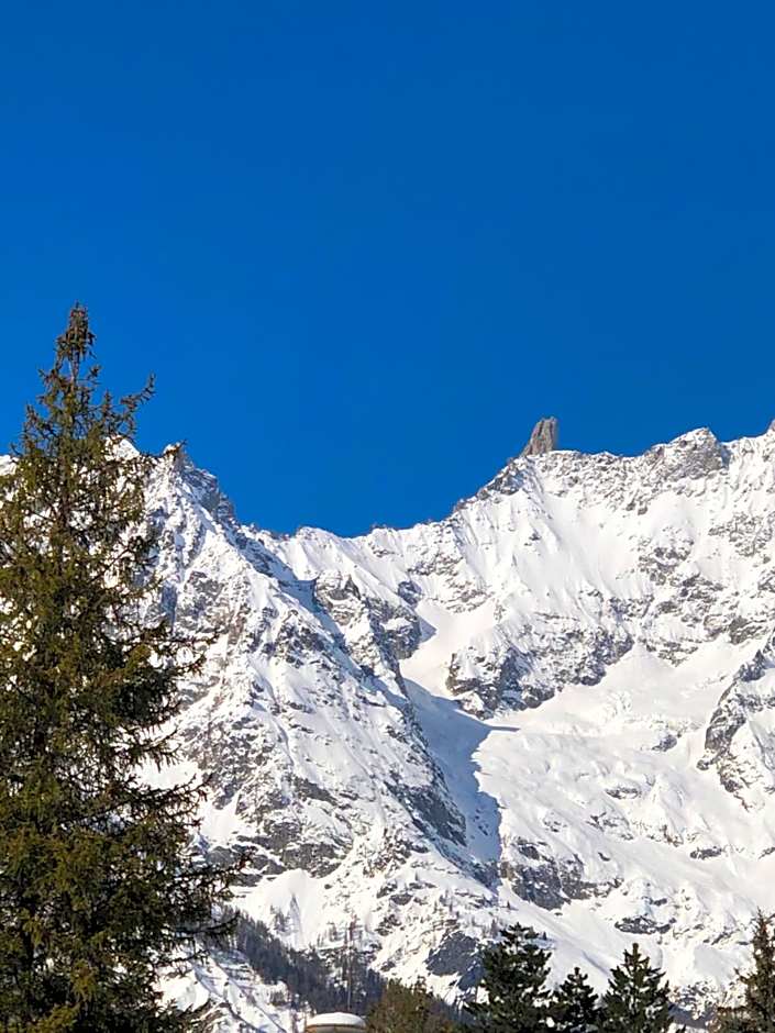 Hotel Coeur Du Village