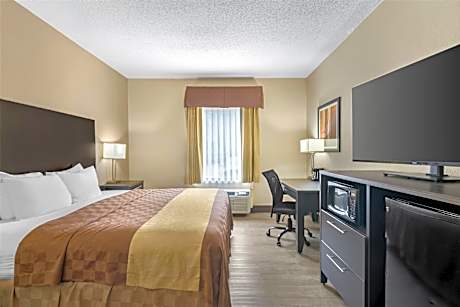 Accessibility - 1 King, Roll-in Shower, Pet Friendly Room, Nonsmoking