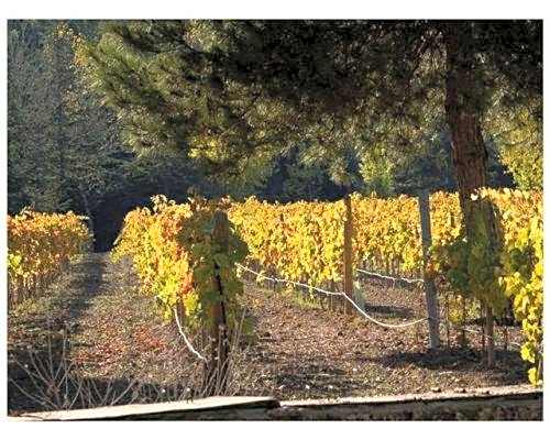 La Casita de Cabrejas