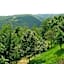 B&B Il Suono del Bosco
