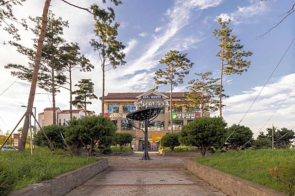 OCEAN PARK 9