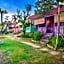 My Dream Bali