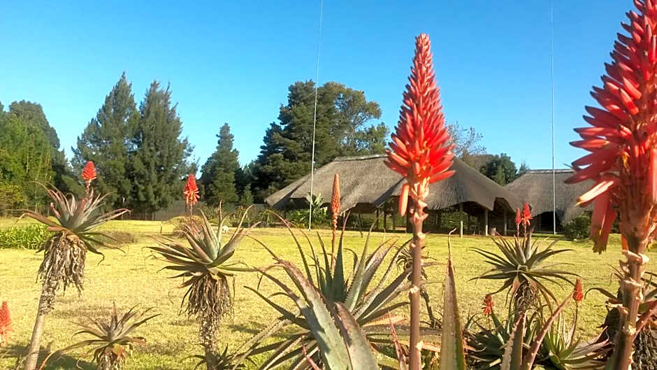 African Flair Country Lodge
