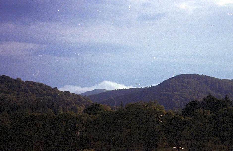 Szczerbanówka na Maniowie
