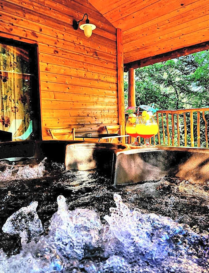 Domaine de la Font Vineuse & Spa