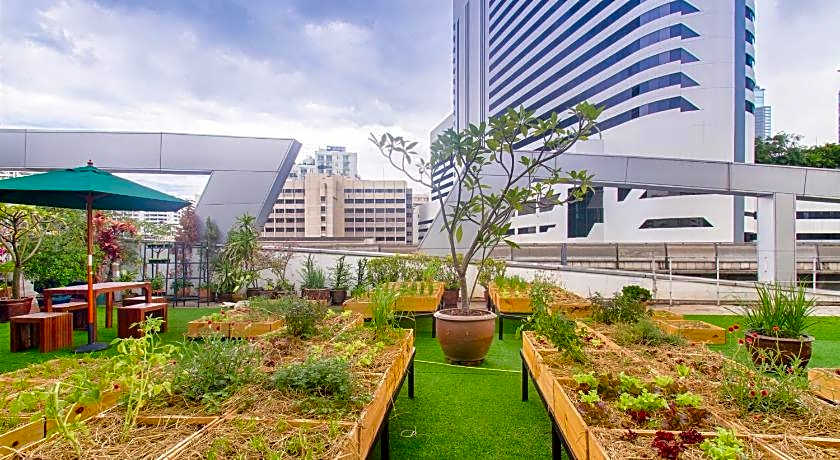 Hom hostel & Cooking club