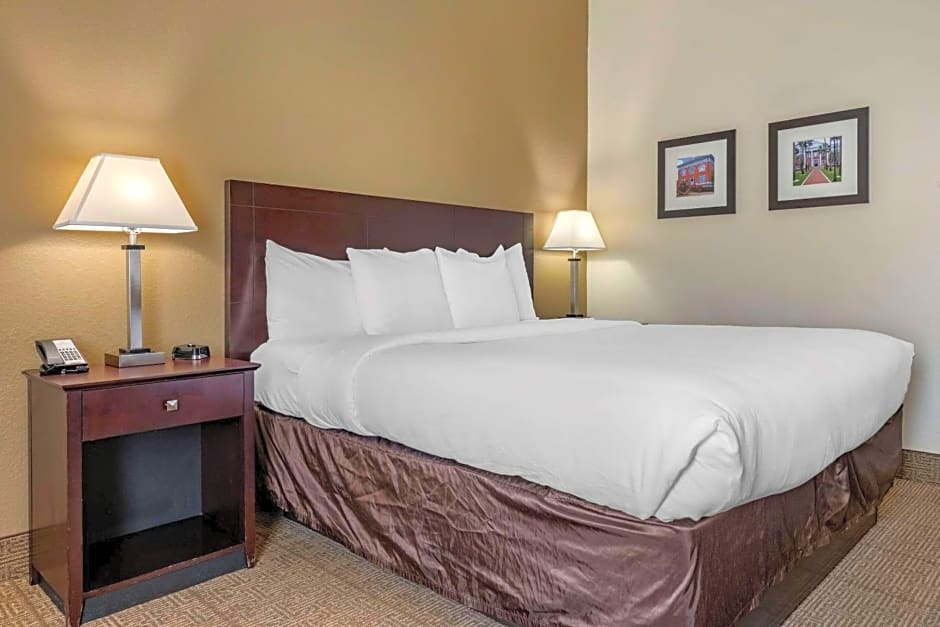 Comfort Inn & Suites DeLand - near University