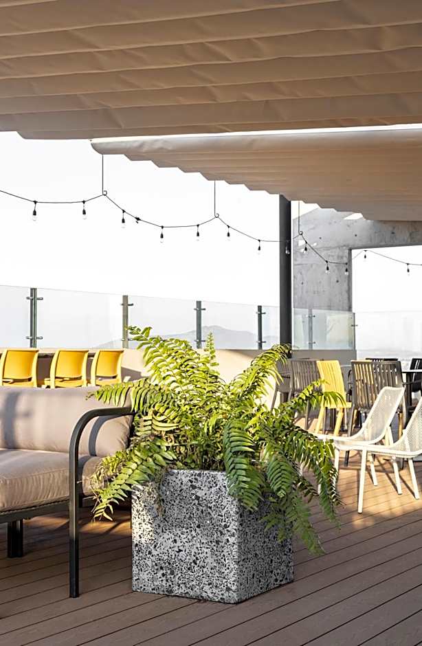 Paradise Flat Witgdl
