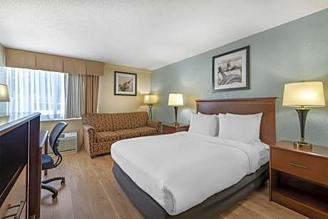 Queen Room with Roll in Shower