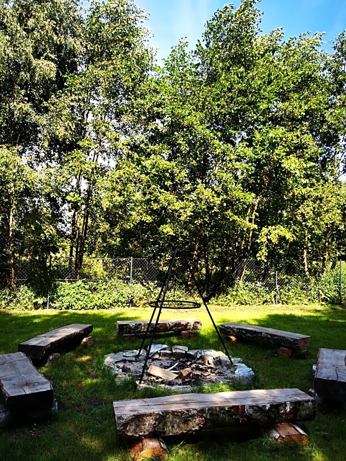 Domki Między Drzewami