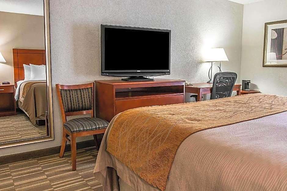 Comfort Inn & Suites University South
