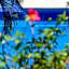 Hotel Hacienda Vallarta - Playa Las Glorias