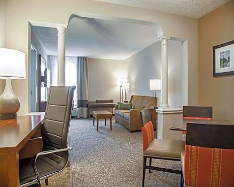 1 King Bed Business Room Suite Nonsmoking