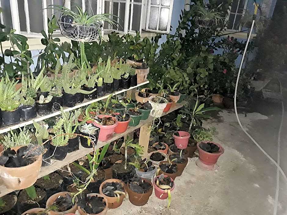 CV Bed and Bath La Union