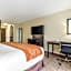 Comfort Inn North Dallas Near the Galleria