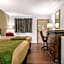 Econo Lodge Holland - Toledo