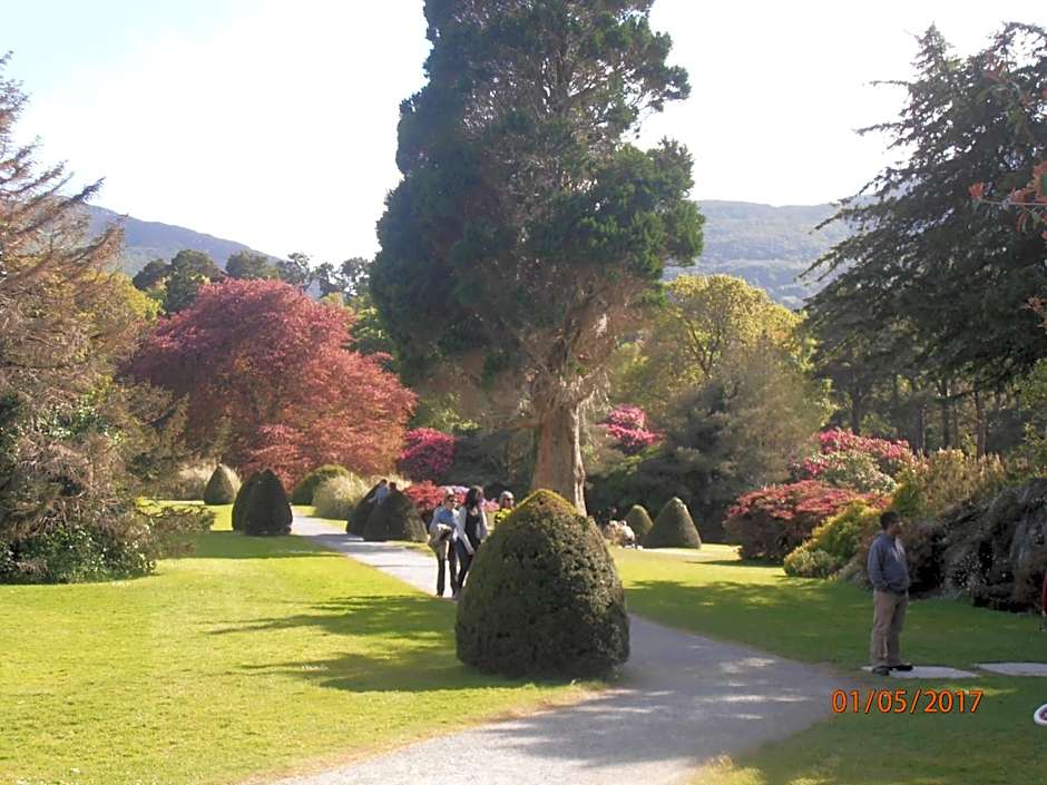 Larkfield House B&B, Ballycasheen Kerry V93 WD51