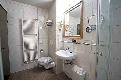 Double or Twin Room - Attic