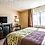 Comfort Inn Detroit Downtown