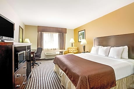 1 King Bed Non-Smoking